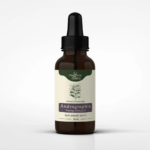 Andrographis paniculata nalewka 1:1