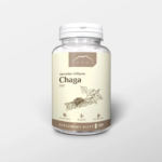 Chaga ekstrakt 100 kapsułek x 300mg