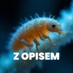 Domivita | Test na pasożyty BICOM Z OPISEM